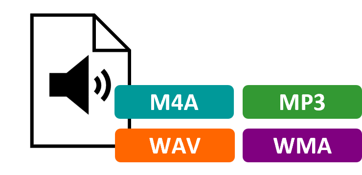 Graphic image of a white file icon with a black border, featuring a black arrow and a speaker symbol. Below the icon are four rectangular buttons in green, blue, orange, and purple. The buttons are labeled with different audio file formats.
