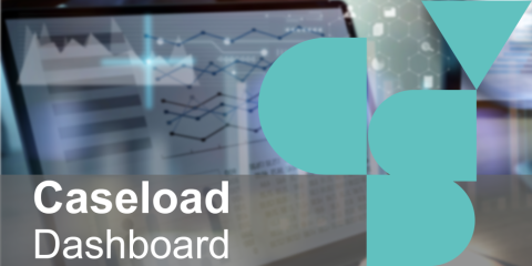 Image saying Caseload Dashboard